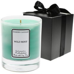 Wild Mint