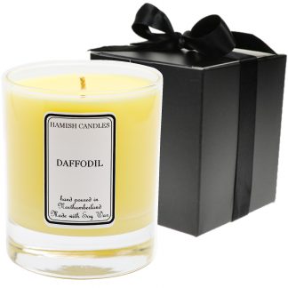 Daffodil