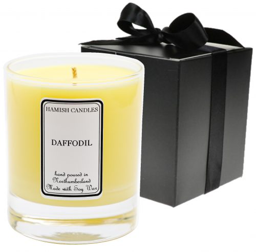 Daffodil