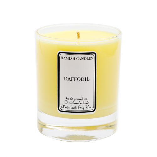 Daffodil - Image 2