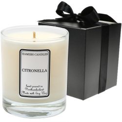 Citronella